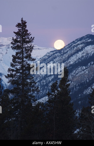 CANADA Alberta Banff Banff National Park pleine lune mise en début de matinée Banque D'Images