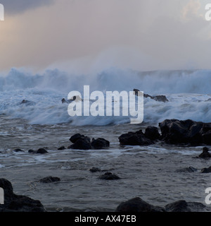 Des vagues océaniques et marins Banque D'Images