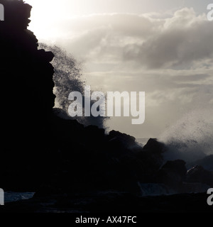 Des vagues océaniques et marins Banque D'Images