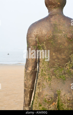 L'art et la nature. Avec l'incrustation de l'organisme marin sculpture par Anthony Gormley a une autre place Crosby Beach Liverpool Angleterre Banque D'Images