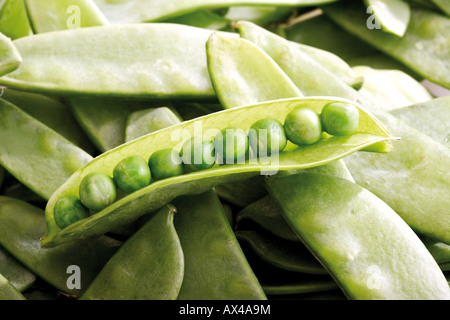 Pois ouvert pod, close-up Banque D'Images