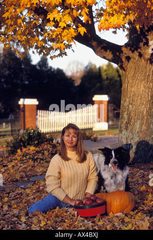 Femme avec Border Collie assis à côté de panier de pommes rouges et de citrouilles près d'automne Érable Banque D'Images