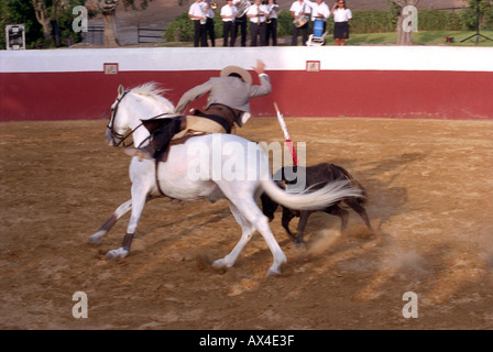 Bull fighter pratiquer Banque D'Images