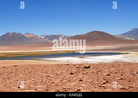 Désert d'Atacama au Chili Banque D'Images