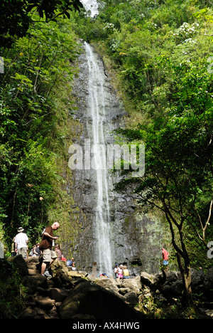 Manoa Falls O'ahu Honolulu Hawaï Banque D'Images