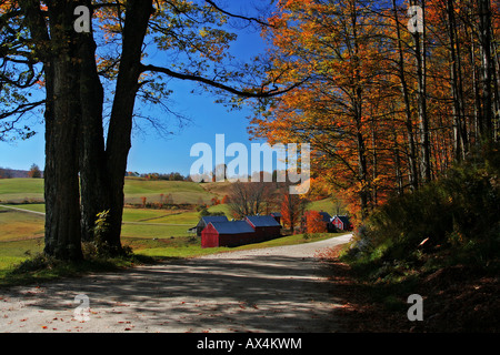 L'automne et à l'automne le feuillage à la ferme dans le Vermont Jenné Lecture Banque D'Images