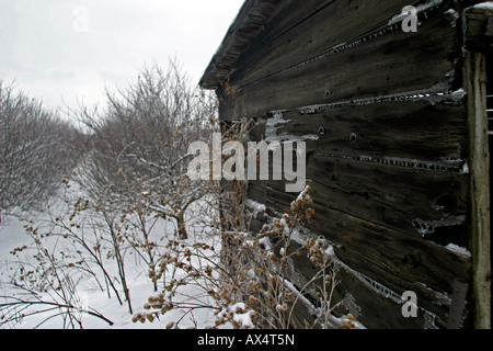 Photographies horizontales en couleur d'une ancienne ferme abandonnée et d'un verger en Ontario Canada pendant la saison hivernale. Banque D'Images