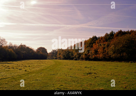 CRISS CROSS des traînées de vapeur l'AUTOMNE CIEL AU-DESSUS DU COMTÉ D'ESSEX. UK Banque D'Images