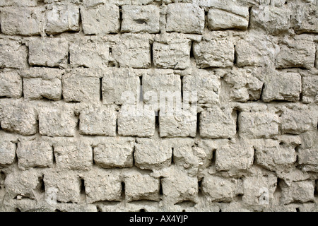 Mur de briques d'Adobe, partie d'une maison en ruine en Equateur Banque D'Images