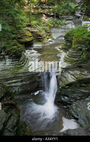 Buttermilk Falls State Park Ithaca, New York est une cascade sauvage qui se déverse dans le lac Cayuga Banque D'Images