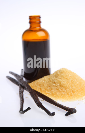 La vanille et le sucre brut découpé sur fond blanc Banque D'Images