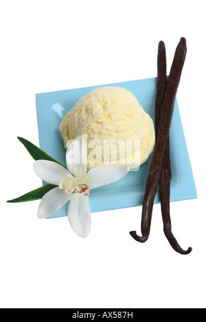 Glace vanille découper sur fond blanc Banque D'Images