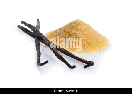 Les gousses de vanille et le sucre brut découpé sur fond blanc Banque D'Images