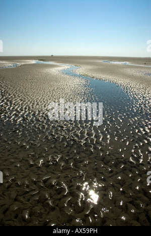 Vasière, plage, Sankt Peter-Ording, Frise du Nord, Schleswig-Holstein, Allemagne Banque D'Images