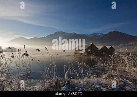 Les hangars à bateaux, gel-couverts de roseaux sur la rive du lac Kochelsee (Kochel) enshrouded dans la brume, pré-Alpes bavaroises, Upper Bavari Banque D'Images