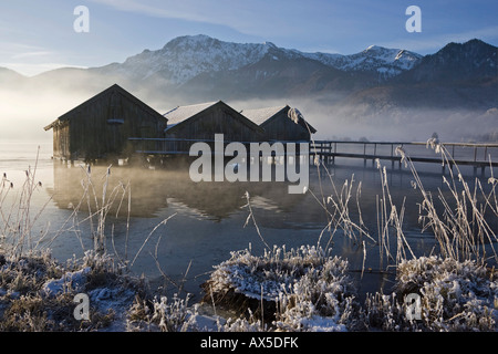 Les hangars à bateaux, gel-couverts de roseaux sur la rive du lac Kochelsee (Kochel) enshrouded dans la brume, pré-Alpes bavaroises, Upper Bavari Banque D'Images