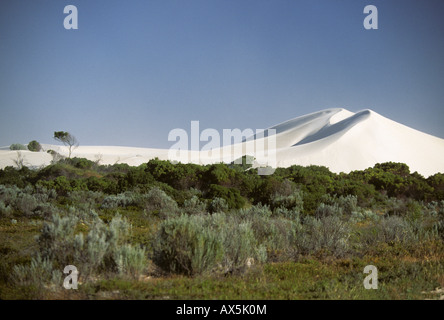 La grande Dune, dune de sable blanc près de Lancelin, au nord de Perth, Western Australia, Australia Banque D'Images