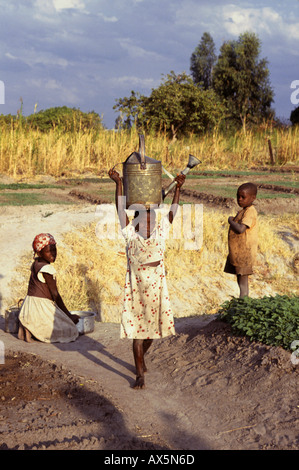 Tembe Village, la Tanzanie, l'Afrique. Jeune fille exerçant son arrosoir sur la tête, l'eau utilisée pour les cultures. Banque D'Images