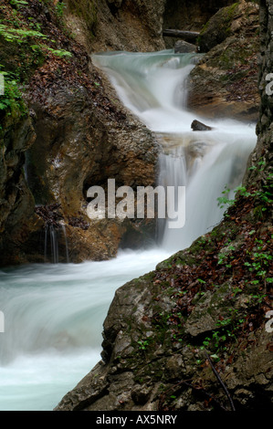 Cours d'eau, la Gorge Wolfsklamm (Wolf), Stans, North Tirol, Autriche, Europe Banque D'Images