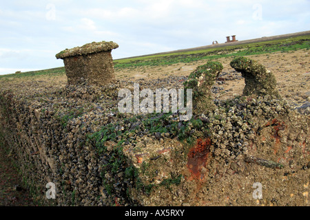 Un gros plan d'une jetée de Spud du port Mulberry à Arromanches sur Gold Beach, en Normandie. Banque D'Images