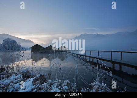 Les hangars à bateaux, gel-couverts de roseaux sur la rive du lac Kochelsee (Kochel) enshrouded dans la brume, pré-Alpes bavaroises, Upper Bavari Banque D'Images