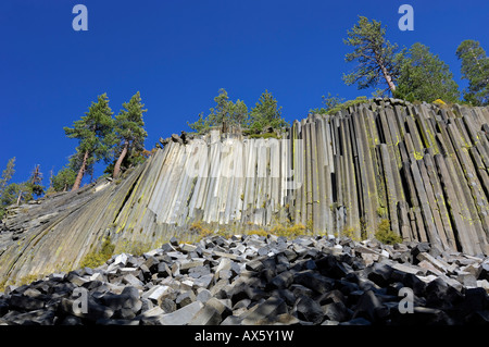 Les colonnes de basalte à Mammoth Lake, Devil's Postpile National Monument, California, USA Banque D'Images