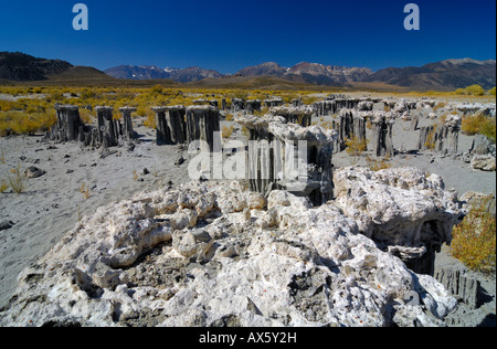 La roche de tuf formations rocheuses, les falaises au bord du lac Mono et les montagnes de la Sierra Nevada en arrière-plan, l'Afrique du tuf, Lee Vining Banque D'Images