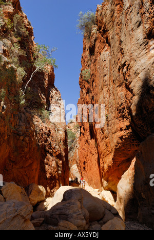 Chemin du canyon, Standley Chasm, West Macdonnell Ranges, Territoire du Nord, Australie Banque D'Images
