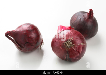 Oignons rouges Banque D'Images