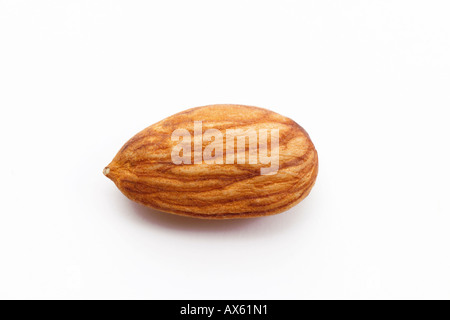 Amande, close-up Banque D'Images