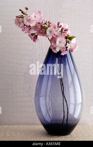 Fleur de cerisier dans un vase Banque D'Images