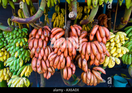 Les bananes à Alleppey, Inde Banque D'Images