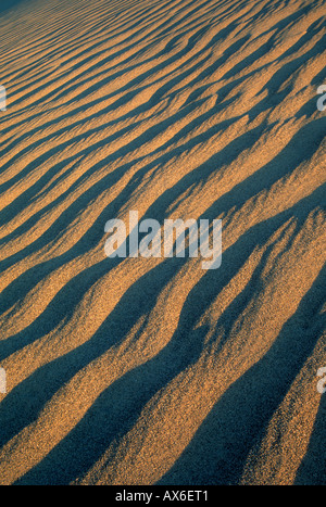 Les couleurs au coucher du soleil les sables de Bruneau Dunes State Park, New York, USA Banque D'Images