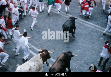 Courses de taureaux de Pampelune, San Fermin Bull Run de l'Espagne. Encierros de los venus assister aux Sanfermines de Pamplona Banque D'Images