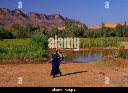 1, l'un, marocain, Maroc, berbère, femme berbère, carrying basket, ksar tamnougalt, près de l'adgz, vallée de la rivière draa, Maroc, afrique Banque D'Images