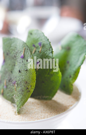 Close-up of cactus Banque D'Images