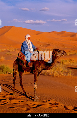 1, l'un homme marocain, Berbère, homme, cheval, chameau Erg Chebbi, proche de la ville de Merzouga, Province d'Errachidia, Maroc, Afrique du Nord, Afrique Banque D'Images