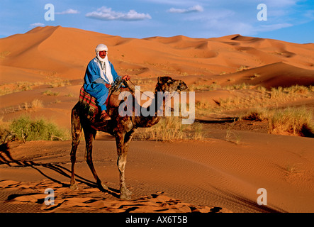 1, l'un homme marocain, Berbère, homme, cheval, chameau Erg Chebbi, proche de la ville de Merzouga, Province d'Errachidia, Maroc, Afrique du Nord, Afrique Banque D'Images