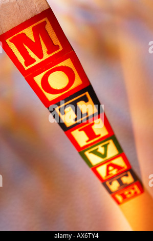 Pile DE BLOCS DE CONSTRUCTION EN BOIS L'ORTHOGRAPHE DU MOT MOTIVER Banque D'Images