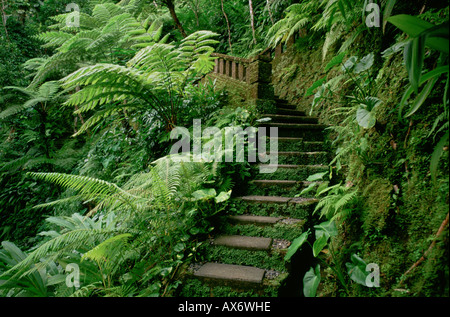 Un chemin qui descend une colline au Begawan Giri à Ubud resort Banque D'Images