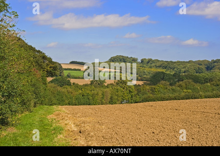 Une belle journée d'été dans le Lincolnshire Wolds près de Raithby Banque D'Images