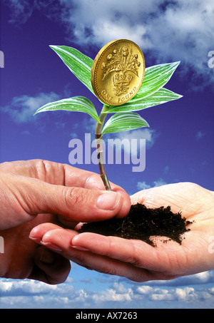 La croissance d'une plantule à UK Pound comme tête de fleurs qui se tient dans la main Banque D'Images