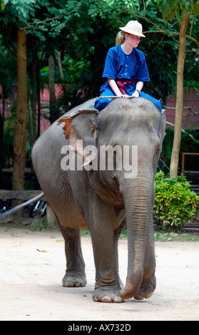 L'équitation d'éléphant à l'École de formation de l'éléphant Mahout et près de Lampang Thaïlande du nord Banque D'Images