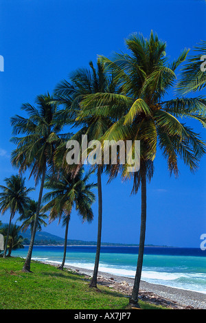 Strand bei Buff Bay, Portland Jamaika, Süd-amerika Banque D'Images