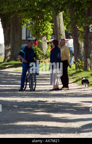 Groupe de sections locales en prenant de l'ombre pommelé avenue bordée d'Saint Valery sur Somme Banque D'Images