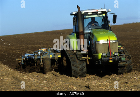 Un champ cultivé sur une ferme de Bawdsey Suffolk. Banque D'Images