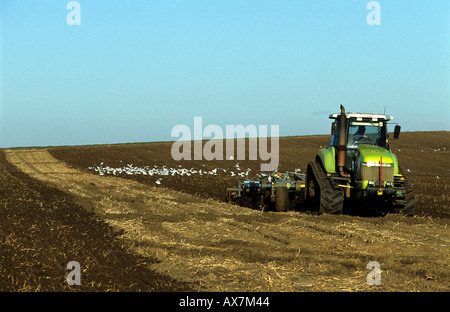 Un champ cultivé sur une ferme de Bawdsey Suffolk, UK. Banque D'Images