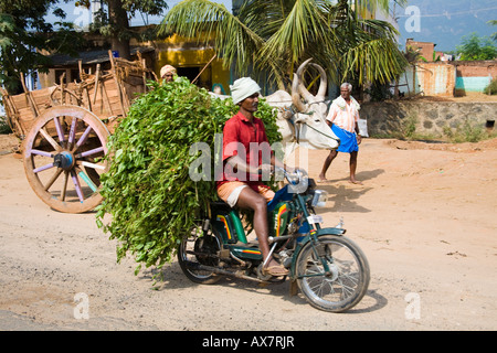 Le transport des récoltes, cyclomoteur rider ox tirant une vieille charrette dans la rue, Tamil Nadu, Inde Banque D'Images