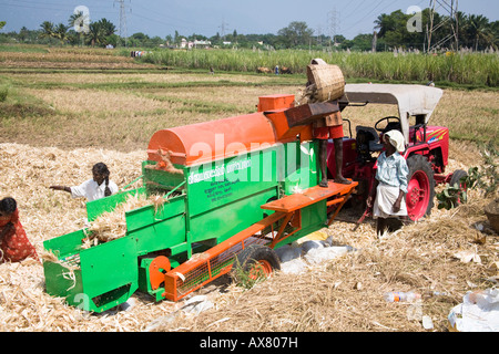 Traitement des ouvriers agricoles des épis de maïs sur un type de machine de battage pour enlever les feuilles, Tamil Nadu, Inde Banque D'Images