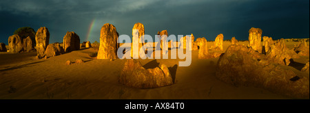 Les Pinnacles, des formations calcaires, le Parc National de Nambung, Western Australia, Australia Banque D'Images